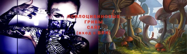 дмт Бугульма