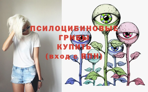 соль курить ск Бронницы