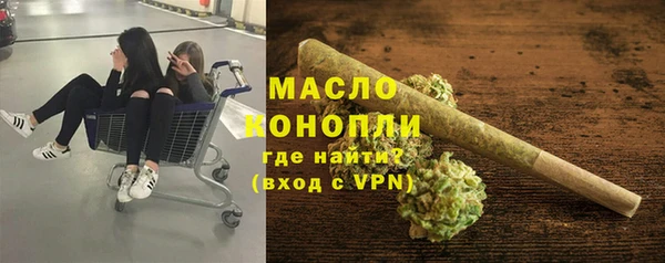 ешки Бородино