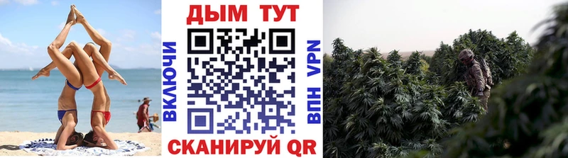 Каннабис OG Kush Дагестанские Огни